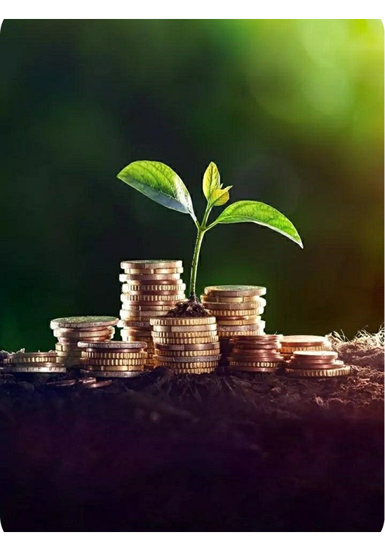 A single red apple with a leaf